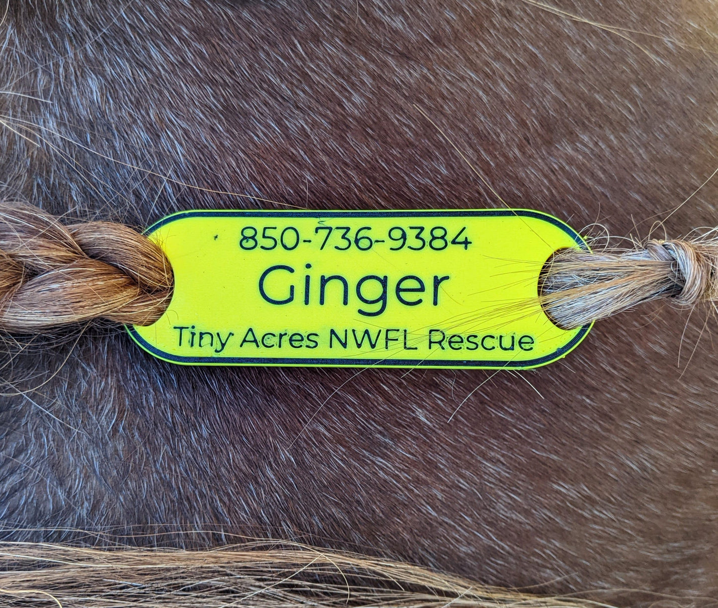 Horse Emergency Information Tag | ICE Information Designed for Equestrians