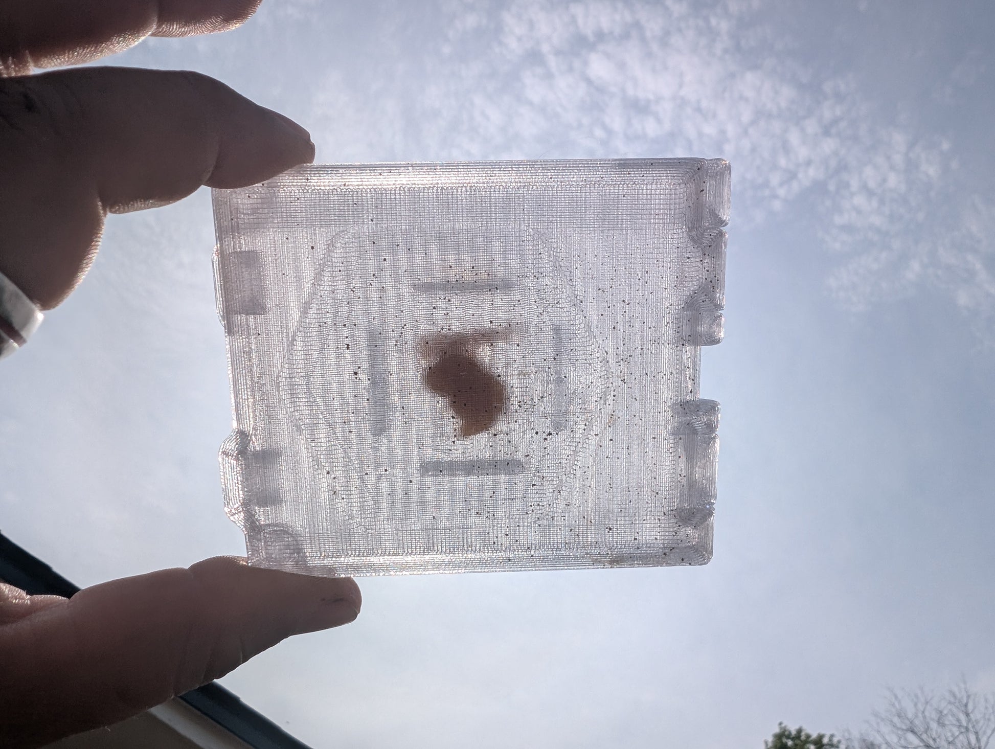 Beetle trap in sun showing bait
