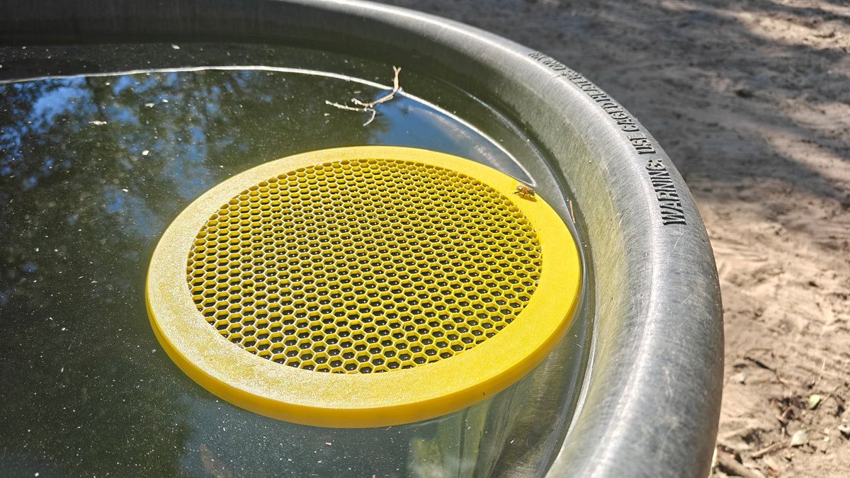 Water Float for Honey Bees