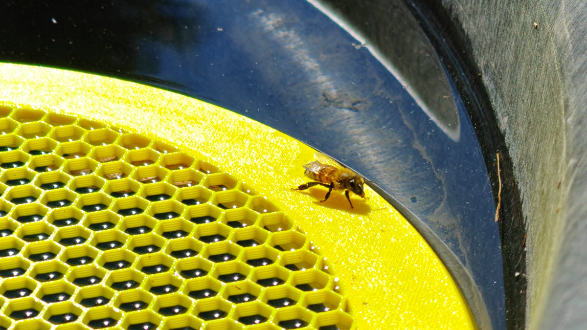 Water Float for Honey Bees