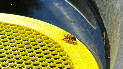 Water Float for Honey Bees