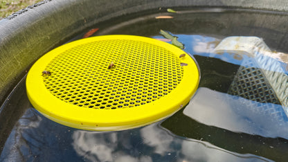 Water Float for Honey Bees