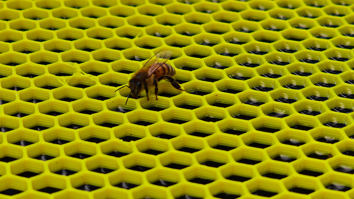Water Float for Honey Bees