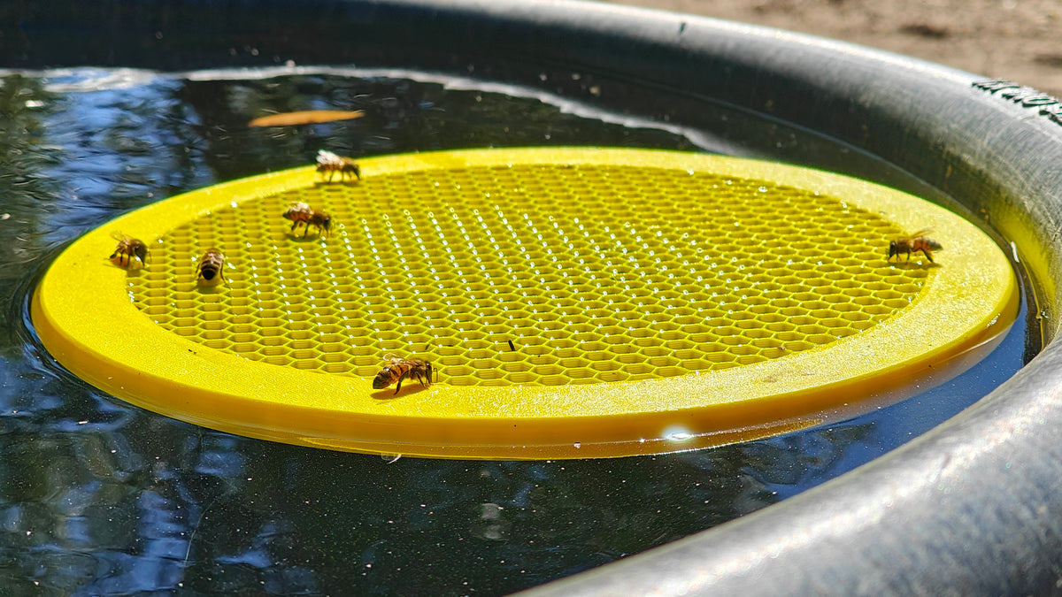 Water Float for Honey Bees