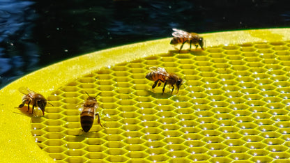 Water Float for Honey Bees