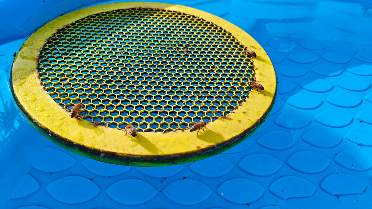 Water Float for Honey Bees