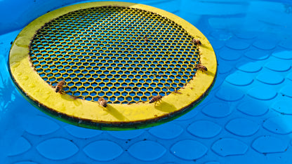 Water Float for Honey Bees
