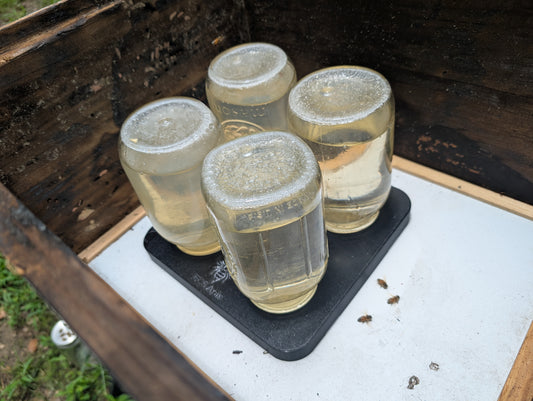 Top Feeder - 4 Jar